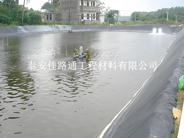 魚蝦養(yǎng)殖防滲膜選黑還是白？掌握這些原則不選錯